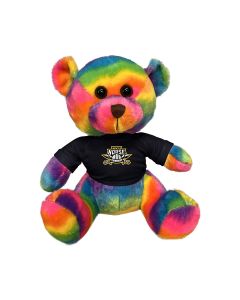 11" Rainbow Bear