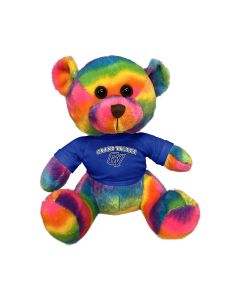 11" Rainbow Bear
