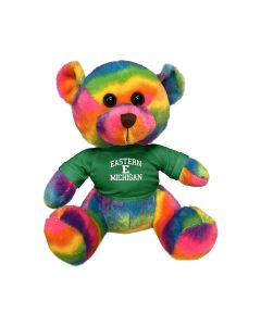 11" Rainbow Bear