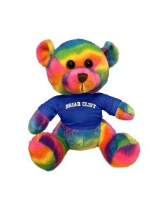 11" Rainbow Bear