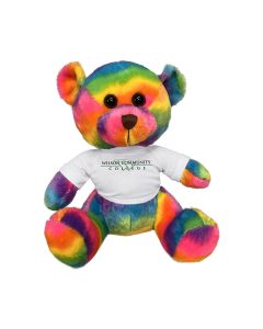11" Rainbow Bear