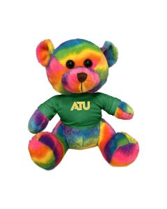 11" Rainbow Bear