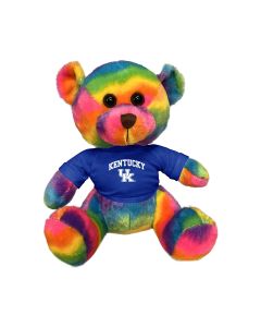 11" Rainbow Bear