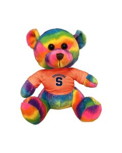 11" Rainbow Bear