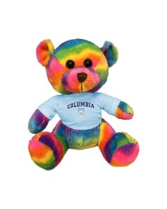11" Rainbow Bear