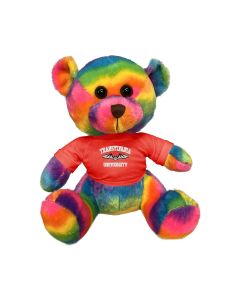 11" Rainbow Bear