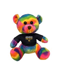 11" Rainbow Bear