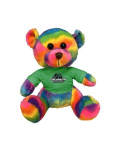 11" Rainbow Bear