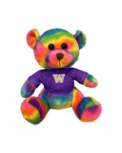 11" Rainbow Bear