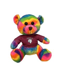 11" Rainbow Bear