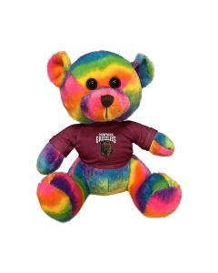 11" Rainbow Bear