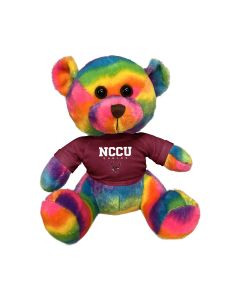 11" Rainbow Bear