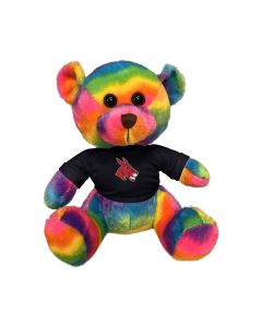 11" Rainbow Bear