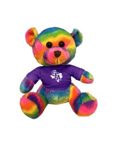 11" Rainbow Bear