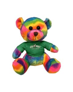 11" Rainbow Bear