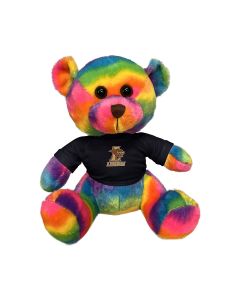 11" Rainbow Bear