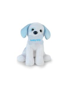 Baby Boy Puppy (8")
