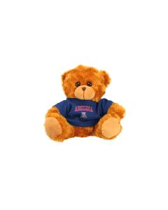 Arizona Jersey Bear 11"