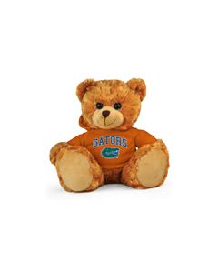 Florida Jersey Bear 11in