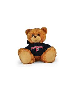 Northeastern Jersey Bear 11in