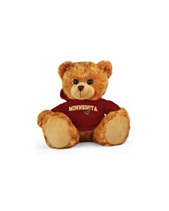 Minnesota Jersey Bear 11in