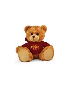 Iowa State Jersey Bear 11in