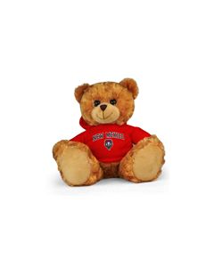 New Mexico Jersey Bear 11in