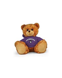 Northwestern Jersey Bear 11in