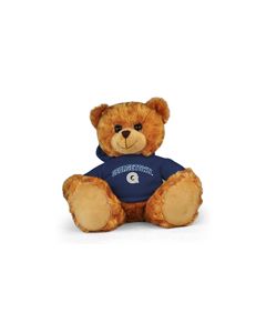 Georgetown Jersey Bear 11in