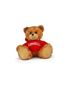 Cornell Jersey Bear 11in