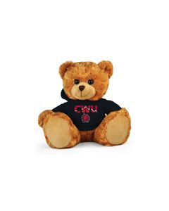 Central Washington Jersey Bear 11in