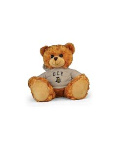 Central Florida Jersey Bear 11in