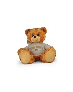 Wake Forest Jersey Bear 11in
