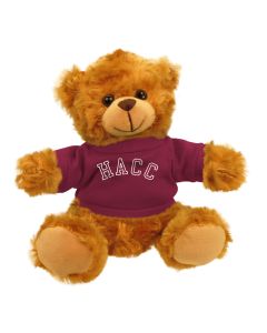 Central Penn Jersey Bear 6"