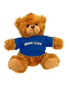 Briar Cliff Jersey Bear 6"