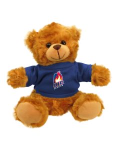 Illinois Chicago Jersey Bear 6"
