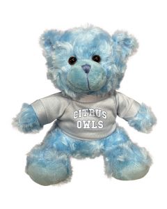 Citrus College Plush Blue Bear 6"