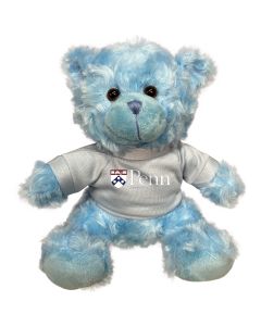 Pennsylvania Plush Blue Bear 6"