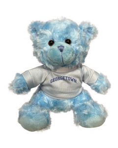 Georgetown Plush Blue Bear 6"