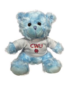 Central Washington Plush Blue Bear 6"