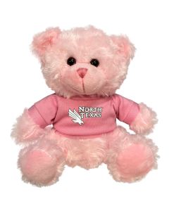 North Texas Plush Pink Bear 6"