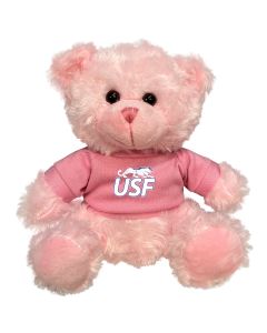 Sioux Falls Plush Pink Bear 6"