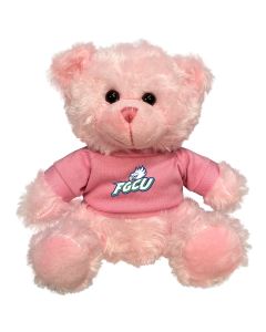 Florida Gulf Coast Plush Pink Bear 6"