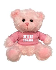BYU Idaho Plush Pink Bear 6"
