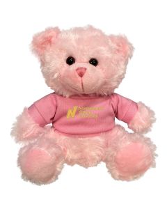 Northeastern Illinois Plush Pink Bear 6"