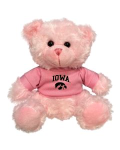 Iowa Plush Pink Bear 6"