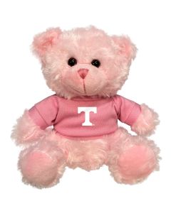 Tennessee Plush Pink Bear 6"