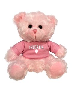 Indiana Plush Pink Bear 6"