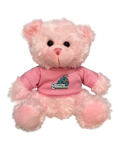 Coastal Carolina Plush Pink Bear 6"
