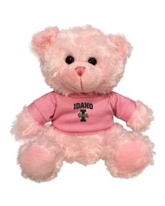Idaho Plush Pink Bear 6"